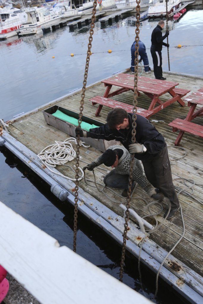 Snarfari - gamlar myndir