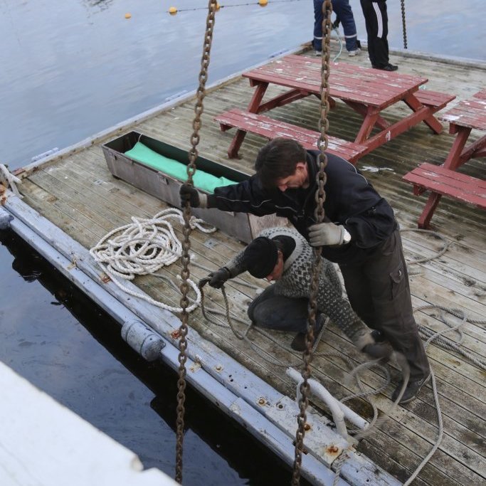 erneyjarprammi_12124528743_o