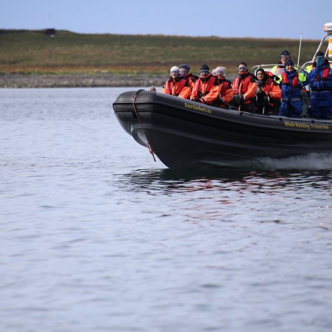 ferinni_14826310609_o