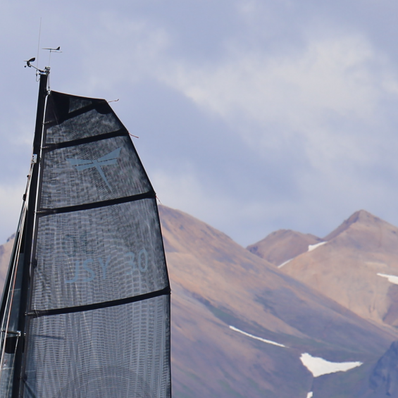 tommi_dragonfly_19322391474_o