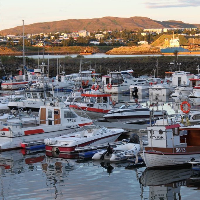 videy15_13364622884_o