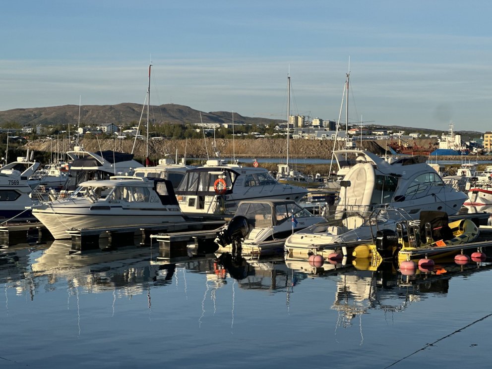 Þerneyjargrill í kvöld