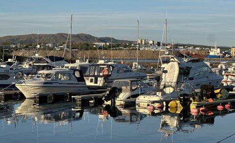 Þerneyjargrill í kvöld